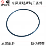 Dongfeng Cummins 6CT8.3 6L Construction Machinery Engine Parts 3940386 Water Pump Seal Ring