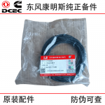 Dongfeng Cummins 6CT8.3 6L Construction Machinery Engine Parts 3940386 Water Pump Seal Ring