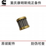 Chongqing Cummins NT855 M11 Engineering Machinery Diesel Engine Parts Fuel Pump Filter 146483