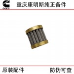 Chongqing Cummins NT855 M11 Engineering Machinery Diesel Engine Parts Fuel Pump Filter 146483