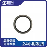 Chongqing Cummins K19 NT855 marine generator set diesel engine accessories 188318 119946 129662 thermostat sealing ring