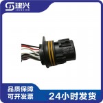 Xi'an Cummins ISM11 QSM11 Engineering Machinery Diesel Engine Parts Injector Wiring Harness 2864516 4004573 4022870 4022869