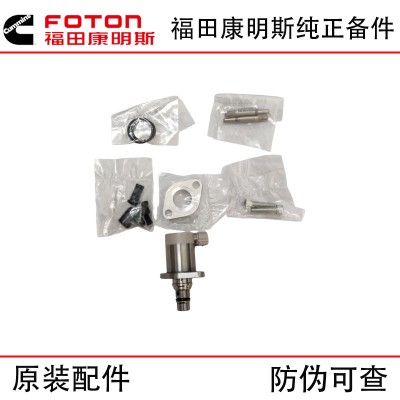 Cummins F4.5 diesel electronic control engine accessories actuator measuring unit 294200-2960 5319505