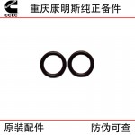 Chongqing Cummins K19 K38 marine generator set engine parts 3001340 O-ring seal