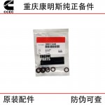 Chongqing Cummins K19 K38 marine generator set engine parts 3001340 O-ring seal
