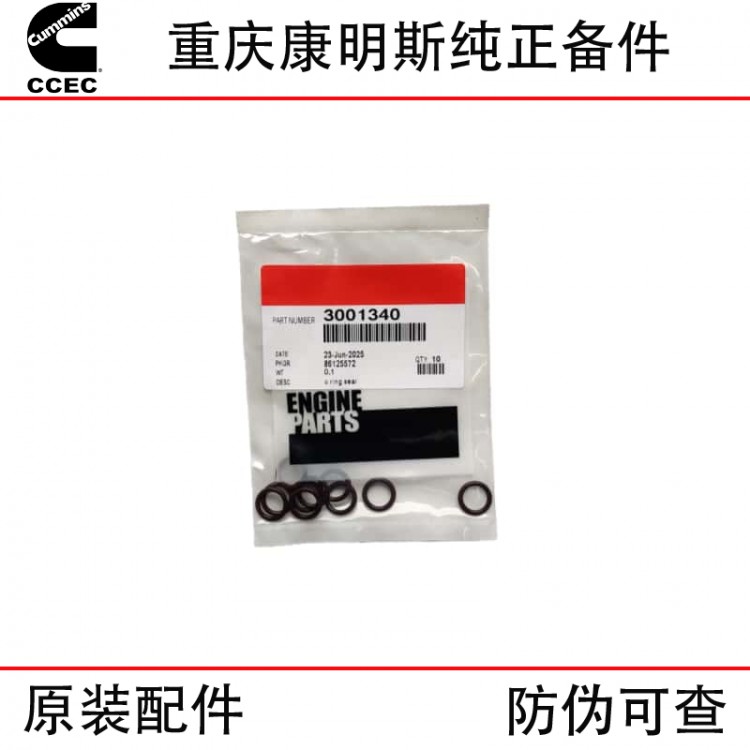 Chongqing Cummins K19 K38 marine generator set engine parts 3001340 O-ring seal