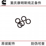 Chongqing Cummins K19 K38 marine generator set engine parts 3001340 O-ring seal