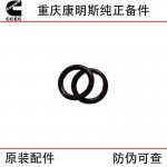 Chongqing Cummins K19 K38 marine generator set engine parts 3001340 O-ring seal