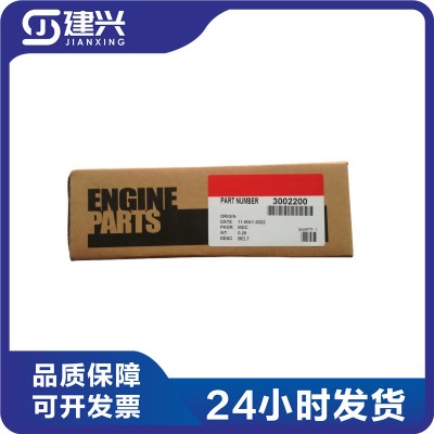Chongqing Cummins KTA19 marine generator set diesel engine accessories fan belt 3002200 3807303 15PK1570