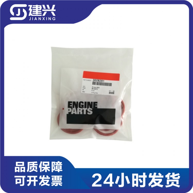 Chongqing Cummins KTA19 KTA38 Marine Generator Set Diesel Engine Parts 3028291 145608 O-ring
