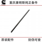 Chongqing Cummins NT855 N14 Construction Machinery Engine Parts 3046420 Valve Push Rod