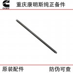 Chongqing Cummins NT855 N14 Construction Machinery Engine Parts 3046420 Valve Push Rod