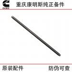 Chongqing Cummins NT855 N14 Construction Machinery Engine Parts 3046420 Valve Push Rod