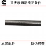Chongqing Cummins NT855 N14 Construction Machinery Engine Parts 3046420 Valve Push Rod