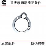 Chongqing Cummins N14 NT855 Railway Track Engineering Machinery Generator Set Diesel Engine Accessories Fuel Pump Gasket 3076226