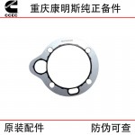 Chongqing Cummins N14 NT855 Railway Track Engineering Machinery Generator Set Diesel Engine Accessories Fuel Pump Gasket 3076226