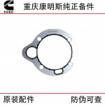 Chongqing Cummins N14 NT855 Railway Track Engineering Machinery Generator Set Diesel Engine Accessories Fuel Pump Gasket 3076226