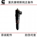 Chongqing Cummins NT855 marine generator set, train track diesel engine accessories 3079669 injector assembly