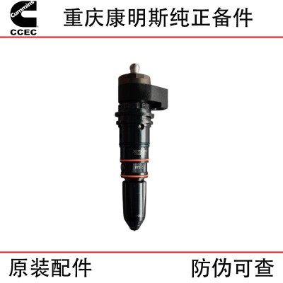 Chongqing Cummins NT855 marine generator set, train track diesel engine accessories 3079669 injector assembly