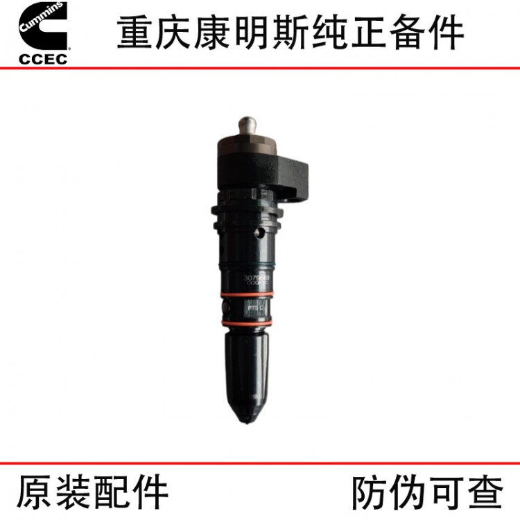 Chongqing Cummins NT855 marine generator set, train track diesel engine accessories 3079669 injector assembly
