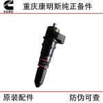 Chongqing Cummins NT855 marine generator set, train track diesel engine accessories 3079669 injector assembly