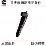 Chongqing Cummins NT855 marine generator set, train track diesel engine accessories 3079669 injector assembly