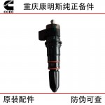 Chongqing Cummins NT855 marine generator set, train track diesel engine accessories 3079669 injector assembly