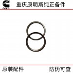 Chongqing Cummins KTA19 KT38 marine generator set diesel engine accessories 205093 3023062 3086192 valve seat rings