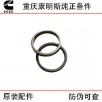 Chongqing Cummins KTA19 KT38 marine generator set diesel engine accessories 205093 3023062 3086192 valve seat rings