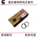 Chongqing Cummins KTA19 Generator Set Marine Construction Machinery Engine Accessories 3086193 3026296 Intake Valve Seat Ring