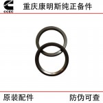 Chongqing Cummins KTA19 Generator Set Marine Construction Machinery Engine Accessories 3086193 3026296 Intake Valve Seat Ring