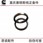 Chongqing Cummins KTA19 Generator Set Marine Construction Machinery Engine Accessories 3086193 3026296 Intake Valve Seat Ring