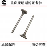 Chongqing Cummins KTA19 generator set ship engineering machinery engine parts 3088389 3803528 intake valve seat ring