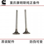 Chongqing Cummins KTA19 generator set ship engineering machinery engine parts 3088389 3803528 intake valve seat ring