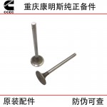 Chongqing Cummins KTA19 generator set ship engineering machinery engine parts 3088389 3803528 intake valve seat ring