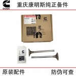 Chongqing Cummins KTA19 generator set ship engineering machinery engine parts 3088389 3803528 intake valve seat ring