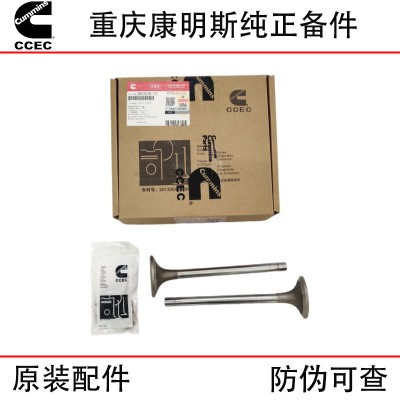 Chongqing Cummins KTA19 generator set ship engineering machinery engine parts 3088389 3803528 intake valve seat ring