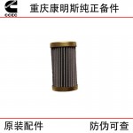 Chongqing Cummins KTA19 KTA38 marine generator set engine accessories 3090769 PT fuel pump filter element