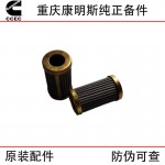 Chongqing Cummins KTA19 KTA38 marine generator set engine accessories 3090769 PT fuel pump filter element