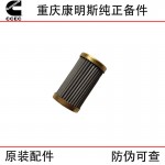 Chongqing Cummins KTA19 KTA38 marine generator set engine accessories 3090769 PT fuel pump filter element