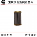 Chongqing Cummins KTA19 KTA38 marine generator set engine accessories 3090769 PT fuel pump filter element
