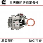 Chongqing Cummins KTA38 Marine Engineering Machinery Generator Set Diesel Engine Parts 3095454 4295941 Fuel Pump Assembly