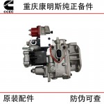 Chongqing Cummins KTA38 Marine Engineering Machinery Generator Set Diesel Engine Parts 3095454 4295941 Fuel Pump Assembly