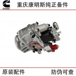 Chongqing Cummins KTA38 Marine Engineering Machinery Generator Set Diesel Engine Parts 3095454 4295941 Fuel Pump Assembly