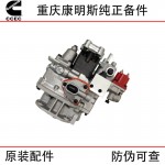 Chongqing Cummins KTA38 Marine Engineering Machinery Generator Set Diesel Engine Parts 3095454 4295941 Fuel Pump Assembly