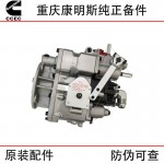 Chongqing Cummins KTA38 Marine Engineering Machinery Generator Set Diesel Engine Parts 3095454 4295941 Fuel Pump Assembly