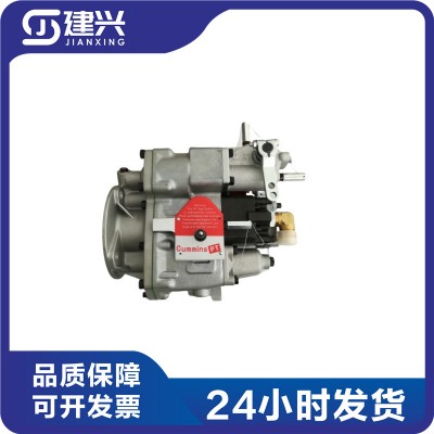 Chongqing Cummins N14 NT855 engineering machinery generator set ship PT high-pressure fuel pump 3095557 3883776