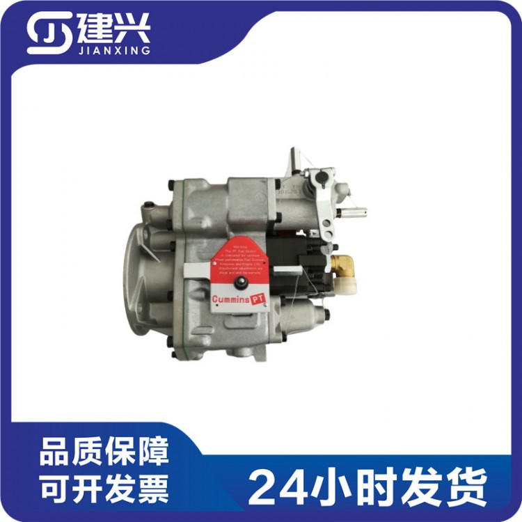 Chongqing Cummins N14 NT855 engineering machinery generator set ship PT high-pressure fuel pump 3095557 3883776