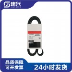 Cummins ISX15 QSX15 Diesel Engine Parts Construction Machinery Generator Belt 3103233 3100139