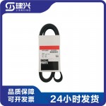 Cummins ISX15 QSX15 Diesel Engine Parts Construction Machinery Generator Belt 3103233 3100139
